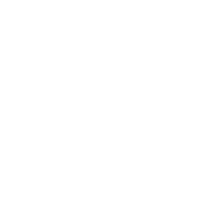icon_copy